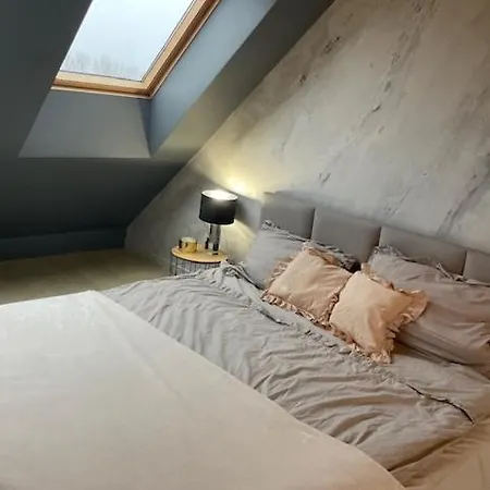 Apartament Nad Zalewem شقة *